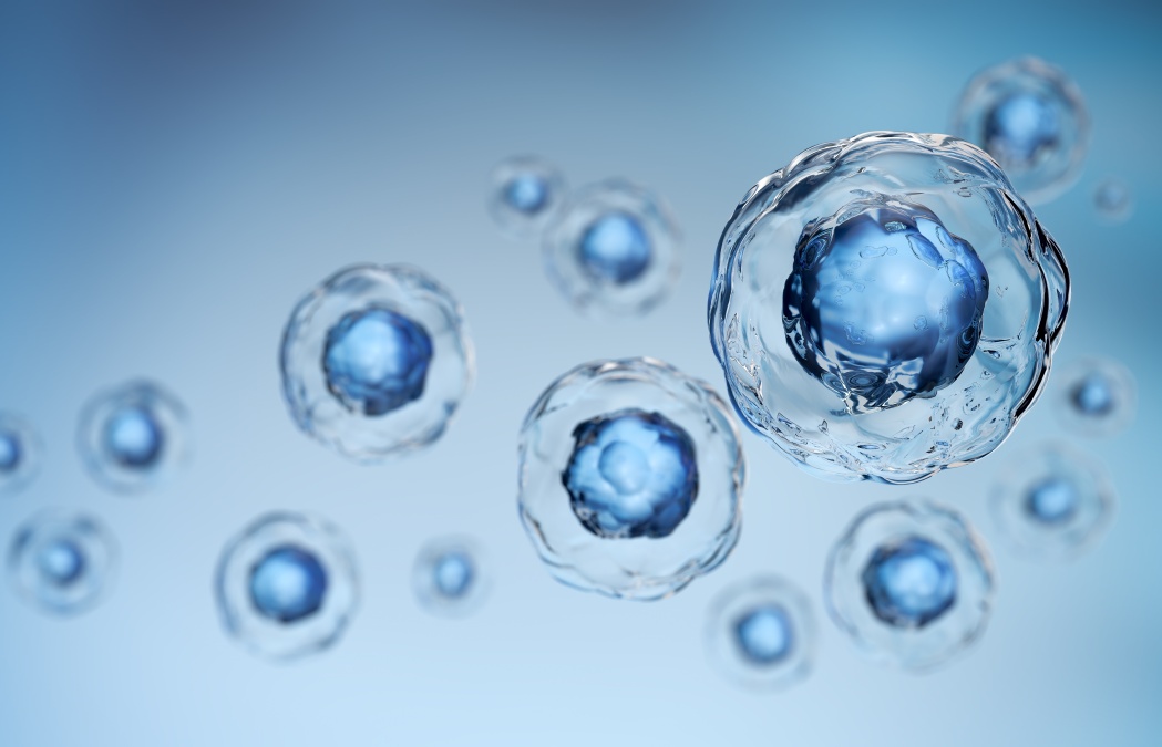 3d rendering of Human cell or Embryonic stem cell microscope background.