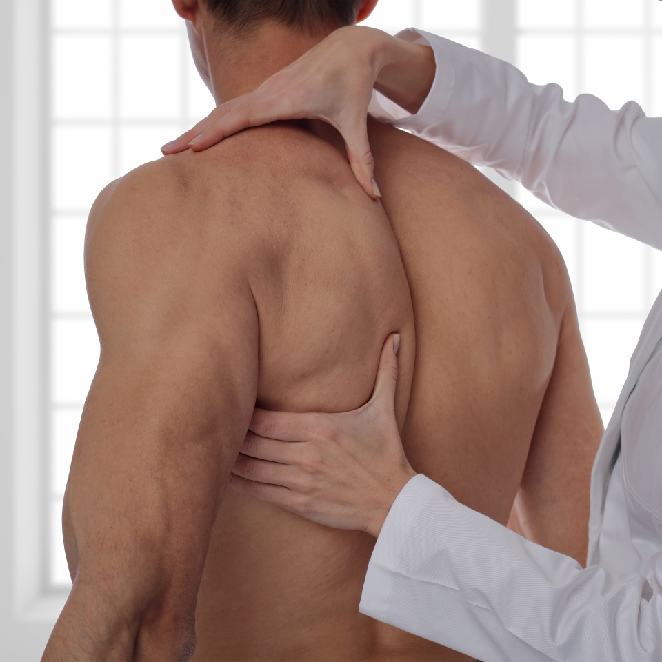 Chiropractic, osteopathy, manual therapy, acupressure. Therapist doing healing treatment on man's back. Alternative medicine, pain relief concept