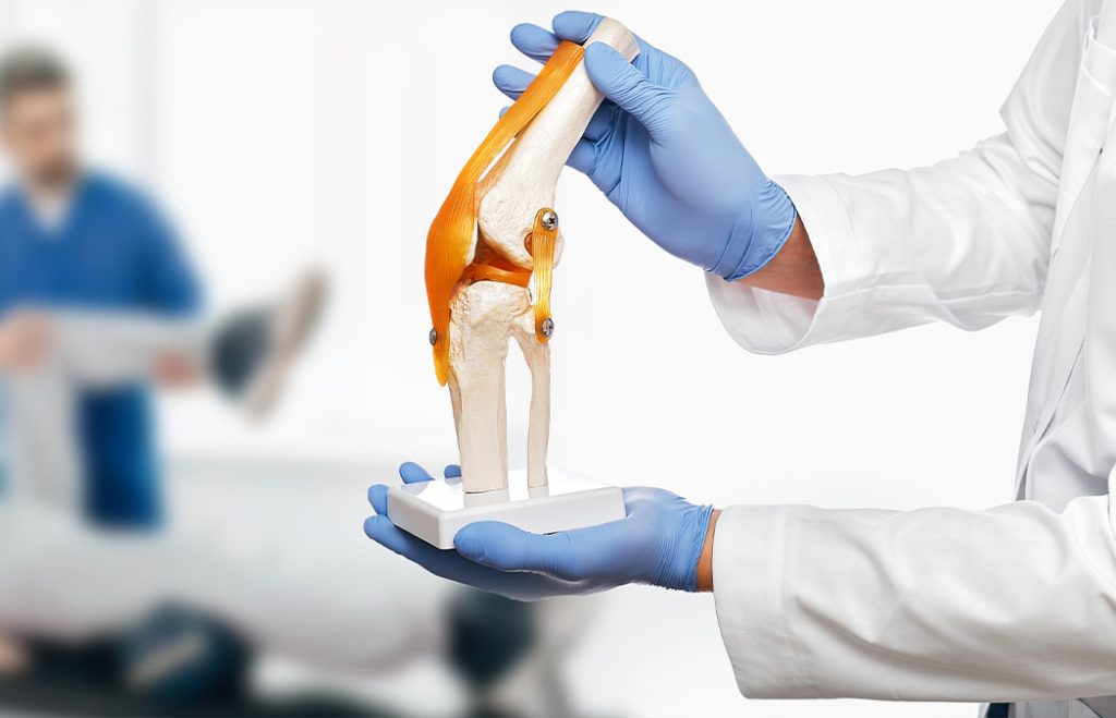 A medical professional wearing blue gloves holds a knee joint model with ligaments, while another person appears in the blurred background.