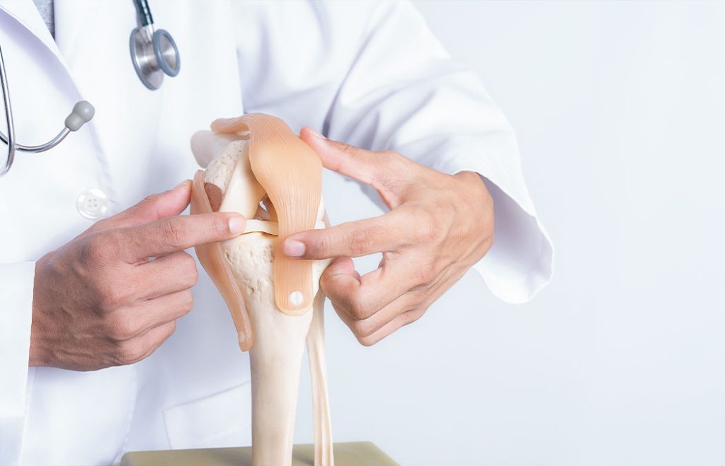 A doctor in a white coat explains parts of a knee joint model, pointing to the ligaments and bones.