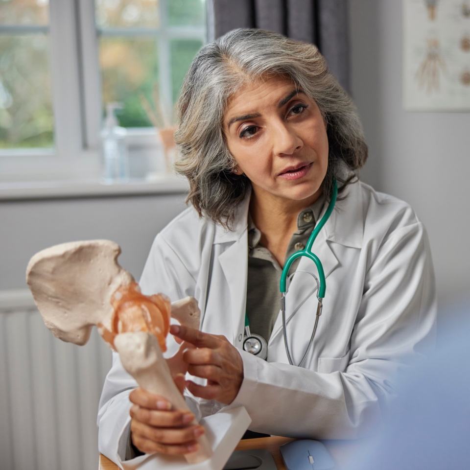 Mature Female Doctor Meeting With Male Patient Discussing Joint Pain In Hip Using Anatomical Model