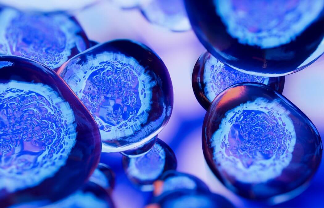 A close-up of stem cells